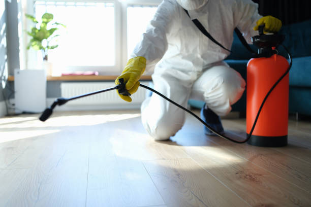 Best Affordable Pest Control Services  in Bellevue, WI