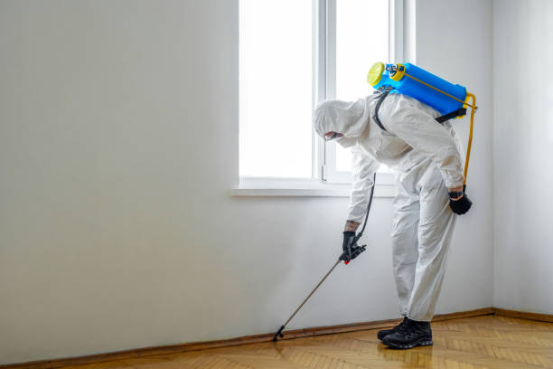 Best Best Pest Control Companies  in Bellevue, WI