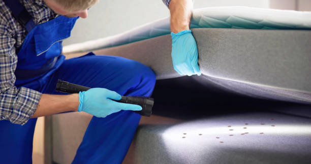 Best Pest Control Near Me  in Bellevue, WI
