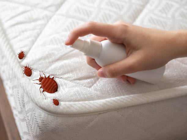 Best Pest Control Cost  in Bellevue, WI